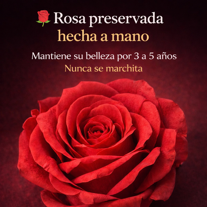 🌹Rosa Eterna del Amo -Un regalo que dice “te amo” todos los días, no solo hoy⏰ Oferta exclusiva por tiempo limitado